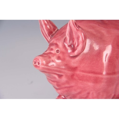 54 - A WEMYSS WARE PIG CIRCA 1900 having a pink glaze with impressed marks to underside 16.5cm wide