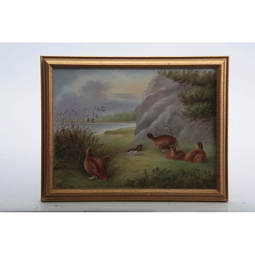 67 - AN EARLY 20TH CENTURY PORCELAIN PLAQUE depicting Grouse nesting, possibly Derby initialled in the bo... 