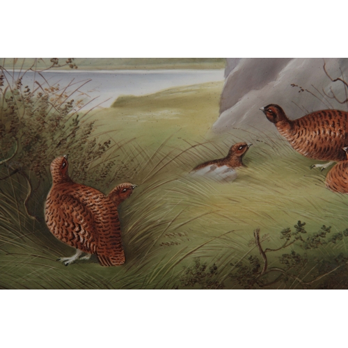 67 - AN EARLY 20TH CENTURY PORCELAIN PLAQUE depicting Grouse nesting, possibly Derby initialled in the bo... 