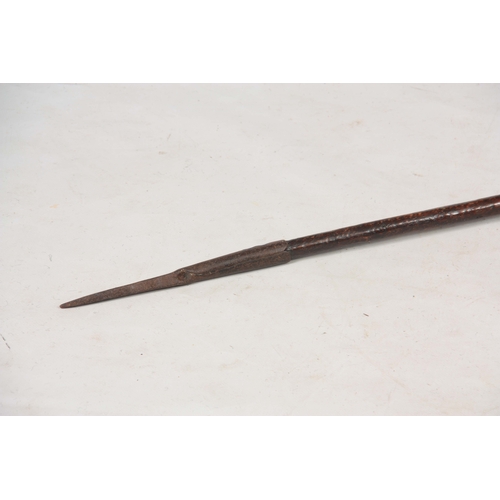 422 - A 19TH CENTURY TRIBAL DOUBLE ENDED SPEAR with carved decoration to the shaft 151cm overall - possibl... 