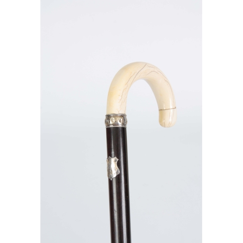 435 - A 19TH CENTURY IVORY AND ROSEWOOD WALKING CANE with shaped handle and silver hall-marked collar and ... 