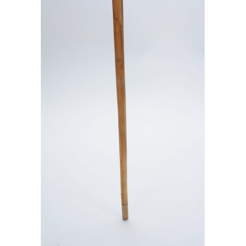 437 - A LATE 19TH / EARLY 20TH CENTURY POSSIBLY RHINO HORN WALKING STICK with curved handle and plaited gi... 