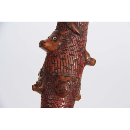 446 - A 19th CENTURY CARVED FRUITWOOD WALKING CANE decorated to the handle a carved snake with black glass... 