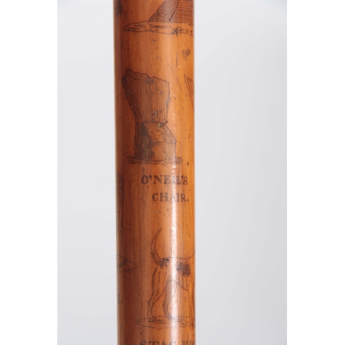 458 - A MID 19th CENTURY IRISH FOLK ART WALKING CANE the stick finely engraved all over with various anima... 