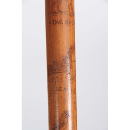 458 - A MID 19th CENTURY IRISH FOLK ART WALKING CANE the stick finely engraved all over with various anima... 