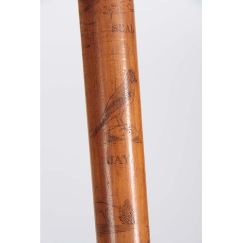 458 - A MID 19th CENTURY IRISH FOLK ART WALKING CANE the stick finely engraved all over with various anima... 