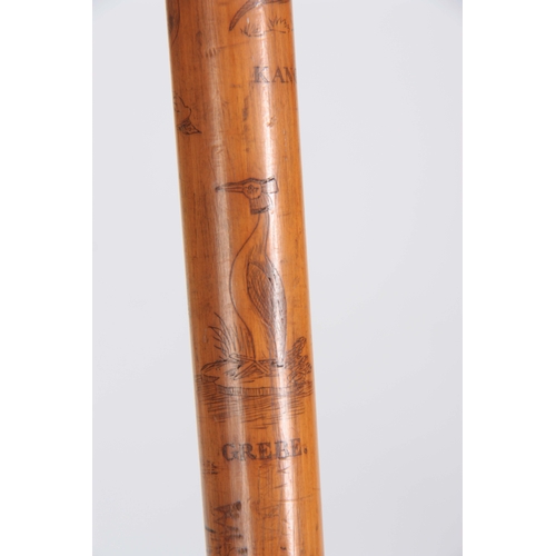 458 - A MID 19th CENTURY IRISH FOLK ART WALKING CANE the stick finely engraved all over with various anima... 