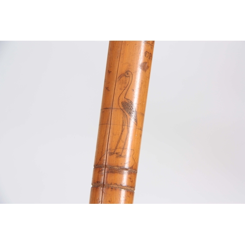 458 - A MID 19th CENTURY IRISH FOLK ART WALKING CANE the stick finely engraved all over with various anima... 