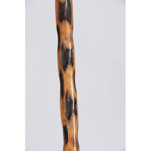 459 - A 19th CENTURY CARVED  STAGHORN HANDLED WALKING CANE modelled as a face with glass eyes, the top wit... 