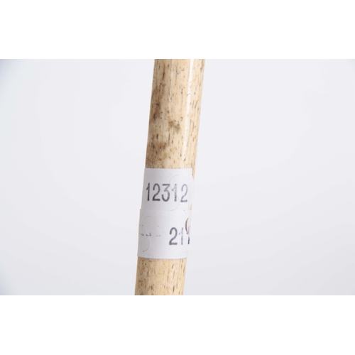 460 - A 19th CENTURY SCRIMSHAW WHALE BONE WALKING CANE having a clenched fist marine ivory handle above in... 