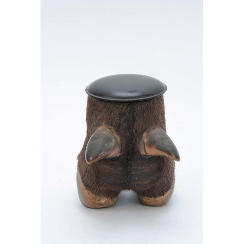 480 - A LATE 19th CENTURY TAXIDERMY BUFFALO FOOT formed as a lidded jar with ebonized domed lid 18cm high