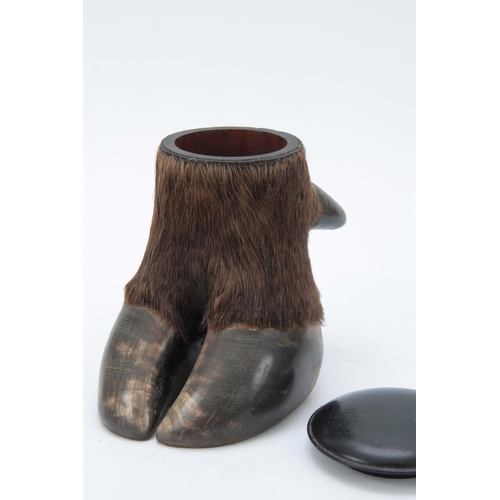 480 - A LATE 19th CENTURY TAXIDERMY BUFFALO FOOT formed as a lidded jar with ebonized domed lid 18cm high