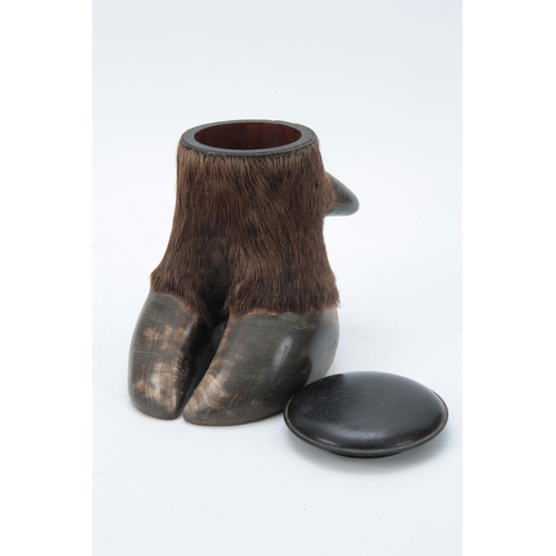 480 - A LATE 19th CENTURY TAXIDERMY BUFFALO FOOT formed as a lidded jar with ebonized domed lid 18cm high