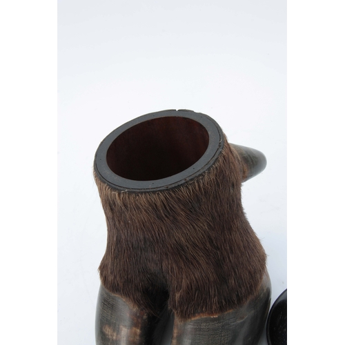 480 - A LATE 19th CENTURY TAXIDERMY BUFFALO FOOT formed as a lidded jar with ebonized domed lid 18cm high