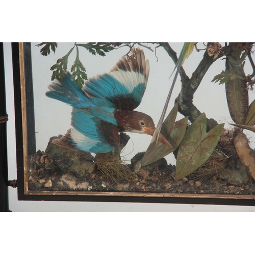 483 - A LATE 19TH CENTURY AESTHETIC MOVEMENT TAXIDERMY DISPLAY CASE OF EXOTIC BIRDS encased in a faux bamb... 