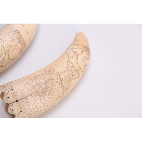 487 - A PAIR OF 19TH CENTURY ENGRAVED SCRIMSHAW WORK TUSKS depicting figure panels inscribed WALTER, DICK ... 