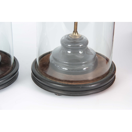 514 - A PAIR OF LATE 19TH CENTURY CYLINDRICAL GLASS DOMES ON TURNED EBONISED BASES covering a pair of bras... 