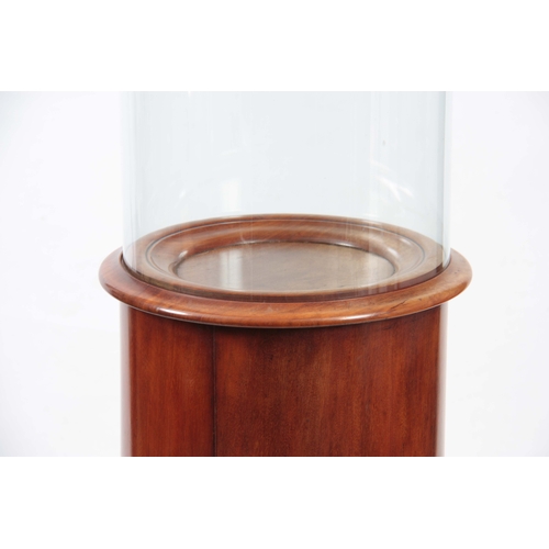 516 - A LATE 19TH CENTURY GLASS DOME ON MAHOGANY STAND the base with hinged opening door supported on turn... 