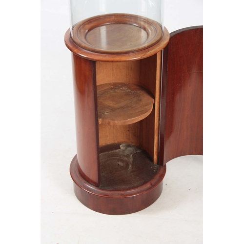 516 - A LATE 19TH CENTURY GLASS DOME ON MAHOGANY STAND the base with hinged opening door supported on turn... 