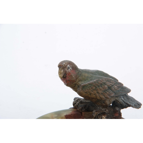 525 - A LATE 19TH CENTURY COLD PAINTED BRONZE SCULPTURE of a perched Parakatte on the rim of a circular On... 