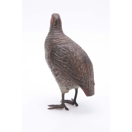 530 - A RARE LIFESIZE LATE 19th CENTURY AUSTRIAN COLD PAINTED BRONZE SCULPTURE formed as a grey leg partri... 