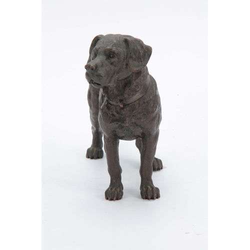 549 - A 19TH CENTURY FRENCH BRONZE SCULPTURE modelled as a mastiff dog 17cm high 23cm wide