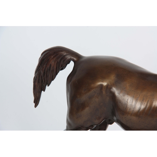 586 - AFTER P. J. MENE. AN EARLY 20th CENTURY PATINATED BRONZE SCULPTURE modelled as a stallion horse stan... 