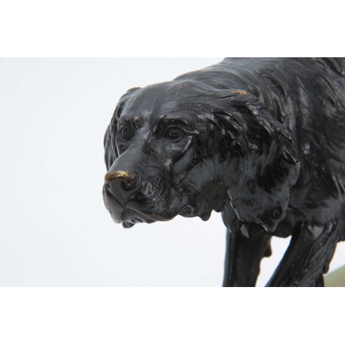 595 - AN EARLY 20th CENTURY BRONZE SCULPTURE modelled as a gun dog on the scent, mounted on black marble a... 