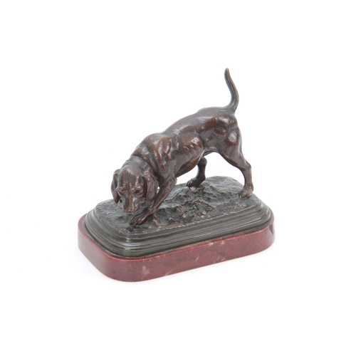 598 - AN EARLY 20th CENTURY PATINATED BRONZE SCULPTURE modelled as a gun dog mounted on a rouge marble bas... 