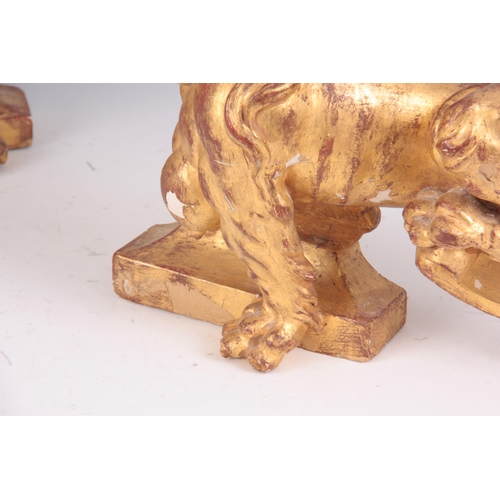 616 - A PAIR OF 18TH CENTURY GILT GESSO PLASTERWORK CHIMERA STATUES 40cm wide 28cm high.