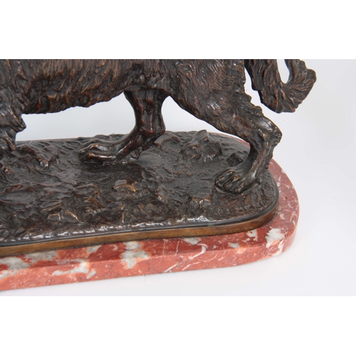 631 - A LATE 19th CENTURY PATINATED BRONZE SCULPTURE modelled as a gun dog standing on naturalistic base m... 