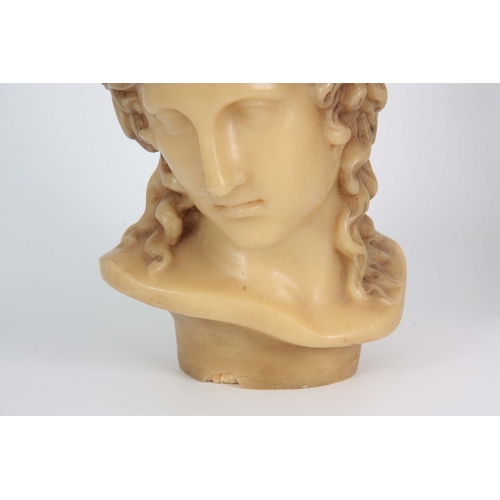 649 - R. PEYRANNE A 19TH CENTURY WAX BUST OF VENUS signed on the back 