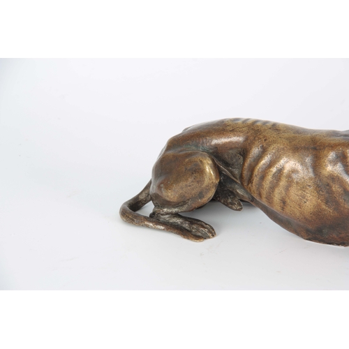 651 - A LATE 19th CENTURY PATINATED BRONZE SCULPTURE modelled as a recumbent greyhound 26cm long