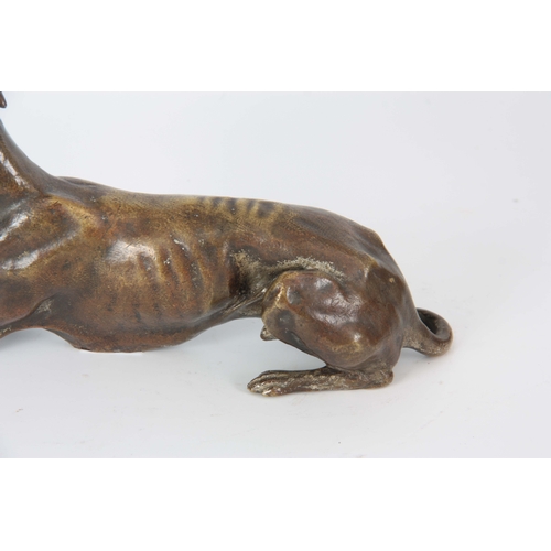 651 - A LATE 19th CENTURY PATINATED BRONZE SCULPTURE modelled as a recumbent greyhound 26cm long