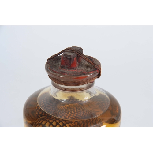 754 - A 19th CENTURY PRESERVED SNAKE IN SEALED JAR the stopper with a red wax seal, jar also contains vari... 