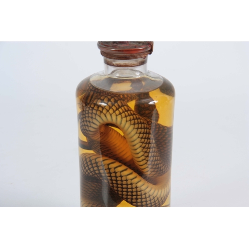 754 - A 19th CENTURY PRESERVED SNAKE IN SEALED JAR the stopper with a red wax seal, jar also contains vari... 