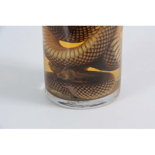 754 - A 19th CENTURY PRESERVED SNAKE IN SEALED JAR the stopper with a red wax seal, jar also contains vari... 