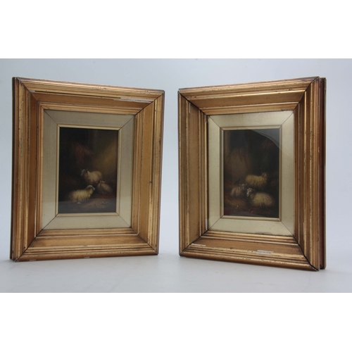 843 - A PAIR OF 19TH CENTURY OIL ON PANELS depicting sheep in stables, monogrammed A.E. - mounted in glaze... 