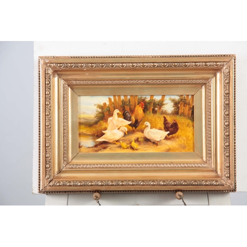 847 - A 20TH CENTURY OIL ON PANEL OF A FARMYARD SCENE DEPICTING DUCKS AND CHICKENS signed and in the circl... 