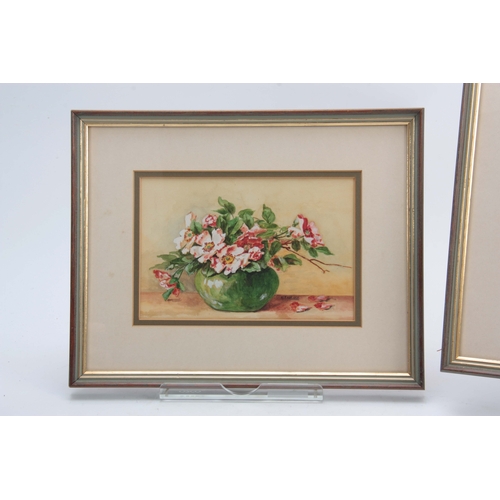 848 - A MID 20TH CENTURY STILL LIFE WATERCOLOUR OF ANEMONES 21.5cm wide by 14cm high, together with ANOTHE... 