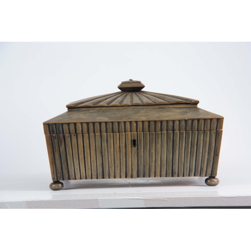 907 - A REGENCY ANGLO-INDIAN VIZAGAPATAN HORN WORKBOX having reeded veneer work, the hinged lid opening to... 