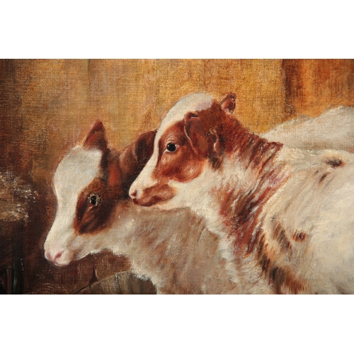 818 - A 20TH CENTURY OIL ON BOARD FARMYARD SCENE DEPICTING SCENE OF CALVES AND CHICKENS - 52cm high 74cm w... 