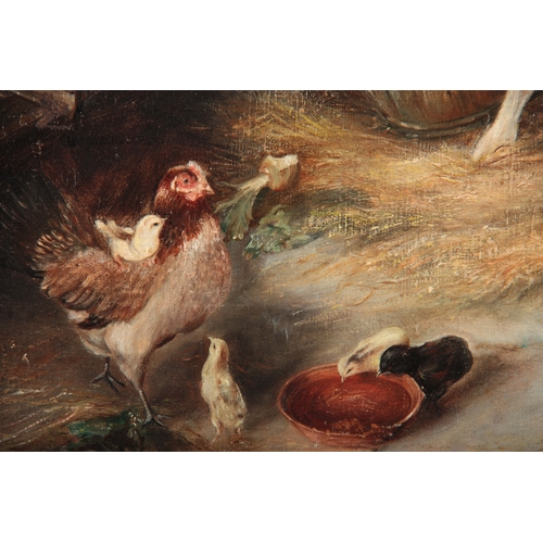 818 - A 20TH CENTURY OIL ON BOARD FARMYARD SCENE DEPICTING SCENE OF CALVES AND CHICKENS - 52cm high 74cm w... 