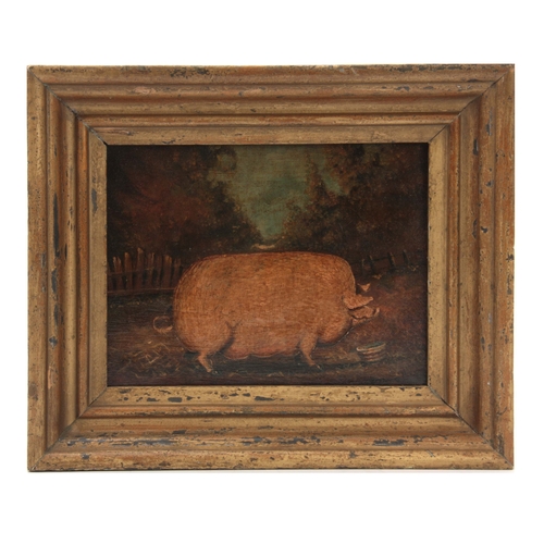 821 - A 19TH CENTURY NAIVE PAINTED OIL ON CANVAS OF A POT BELLIED PIG the bucket signed K G T, the canvas ... 