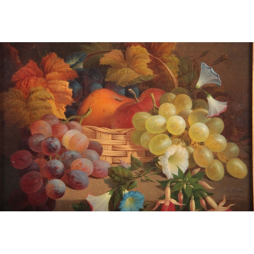 846 - A J A FREE.  A LATE 19TH CENTURY OIL ON CANVAS DEPICTING A STILL LIFE OF FRUIT AND FLOWERS signed an... 