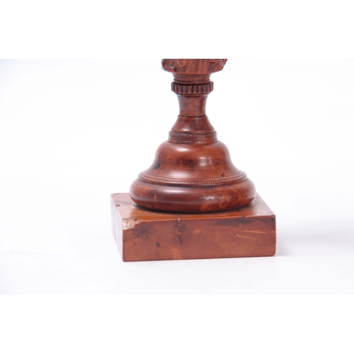 883 - AN UNUSUAL PAIR OF GEORGE III YEW WOOD TREEN CANDLESTICKS with turned square bases knotted burr wood... 