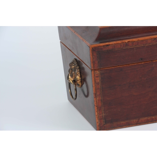 914 - A GEORGIAN MAHOGANY SARCOPHAGUS SHAPED TEA CADDY with kingwood crossbanding and boxwood stringing ha... 