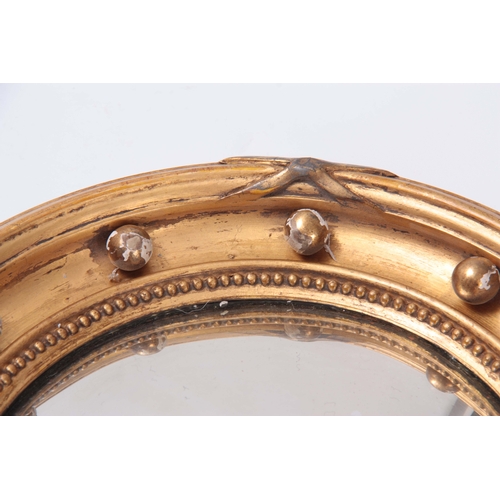 1123 - A PAIR OF SMALL REGENCY GILT GESSO CARVED CONVEX MIRRORS with ribbon and bobbin surrounds 31cm diame... 