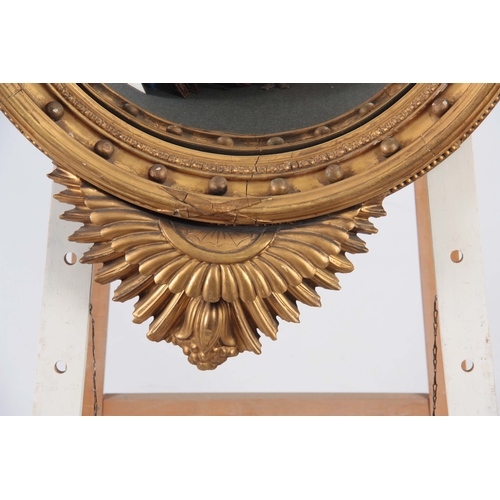 1147 - AN IMPRESSIVE REGENCY CONVEX CARVED GILT GESSO MIRROR OF LARGE SCALE having a 22