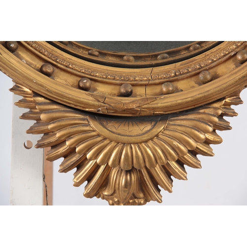 1147 - AN IMPRESSIVE REGENCY CONVEX CARVED GILT GESSO MIRROR OF LARGE SCALE having a 22